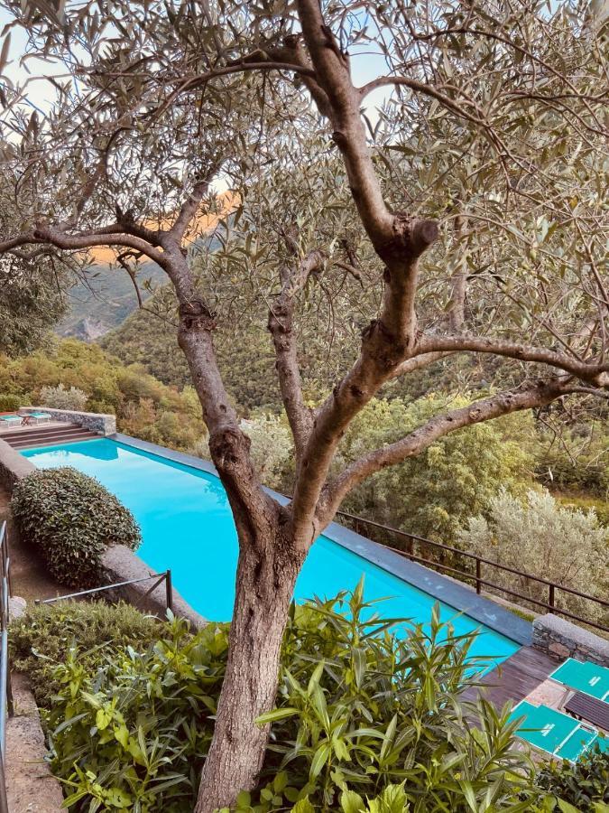Spacious 2 Bedroom Condo Colletta 外观 照片